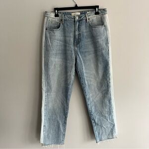 PacSun Two Tone Light Blue Mom Ankle Jeans size 30
